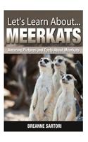 Meerkats: Amazing Pictures and Facts about Meerkats