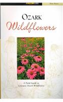 Ozark Wildflowers