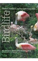 Birdlife of Houston, Galveston, and the Upper Texas Coast