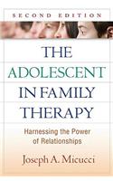 Adolescent in Family Therapy