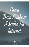 Porra, Devo Lembrar A Senha Da Internet