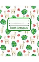 Llama Sketchbook: Notebook for Sketching, Doodling, Painting, Drawing or Writing 8.5 x 11 100 Pages, 8.5 x 11 (Pretty Cute Succulent Cover Vol. 16)
