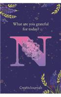 Gratitude Journal for Writers