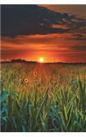Red Skies and Sunflowers