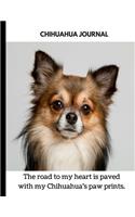 Chihuahua Journal