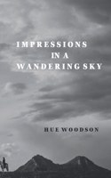 Impressions in a Wandering Sky