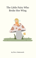 Little Fairy Who Broke Her Wing