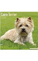 Cairn Terrier Calendar 2018 (Square)