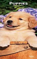 Puppies 2020 Slim Calendar