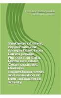 Synthesis of Silver, Copper and Zinc Nanoparticles from Carica Papaya, Annona Muricata, Passiflora Edulis, Cycas Circinalis, Pouteria Campechiana Seeds and Evaluation of Their Antibacterial Activity