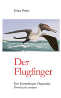 Der Flugfinger