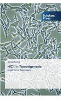 HIC1 in Tumorigenesis