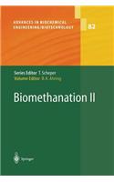 Biomethanation II