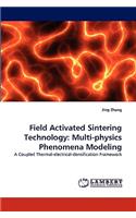 Field Activated Sintering Technology: Multi-Physics Phenomena Modeling