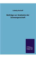 Beiträge zur Anatomie der Schwangerschaft