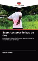 Exercices pour le bas du dos