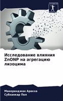 Исследование влияния ZnONP на агрегацию лизоц&