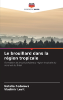 Le brouillard dans la région tropicale