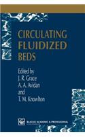 Circulating Fluidized Beds