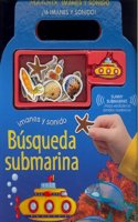 Busqueda submarina/ Undersea Search