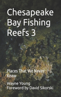 Chesapeake Bay Fishing Reefs 3