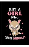 Just a Girl Who Loves Numbats