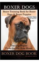 Boxer Dogs, Boxer Training Book for Boxer Dogs & Boxer Puppies By D!G THIS DOG Training Training Begins From the Car Ride Home, Boxer Dog Book