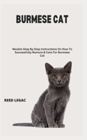 Burmese Cat