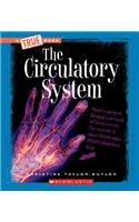 The Circulatory System