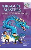 Secret of the Water Dragon: A Branches Book (Dragon Masters #3)