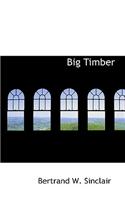 Big Timber