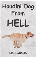 Houdini Dog From Hell