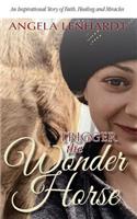 Trigger the Wonder Horse