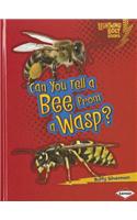 Can You Tell a Bee from a Wasp?: (Lightning Bolt Books — Animal Look-Alikes)
