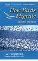 How Birds Migrate