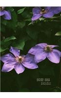 Autumn, Again; Spring, Anew
