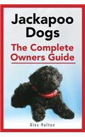 Jackapoo Dogs