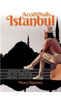 Accidentally Istanbul