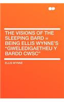 The Visions of the Sleeping Bard = Being Ellis Wynne's Gweledigaetheu y Bardd Cwsc