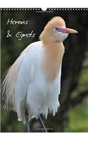 Herons & Egrets 2017