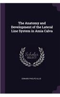The Anatomy and Development of the Lateral Line System in Amia Calva