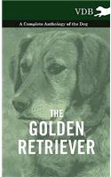 Golden Retriever - A Complete Anthology of the Dog