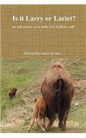 Is It Larry or Lariet? an adventure of a little red buffalo calf