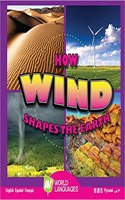 How Wind Shapes the Earth