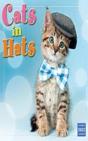 Cats in Hats 2022 Wall Calendar 16-Month