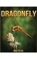 Dragonfly: Children Book of Fun Facts & Amazing Photos on Animals in Nature - A Wonderful Dragonfly Book for Kids aged 3-7