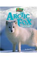 Arctic Fox