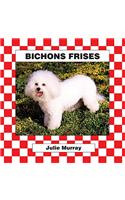 Bichons Frises