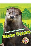 River Otters: (North American Animals)