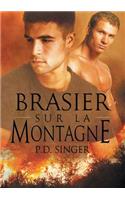 Brasier Sur La Montagne